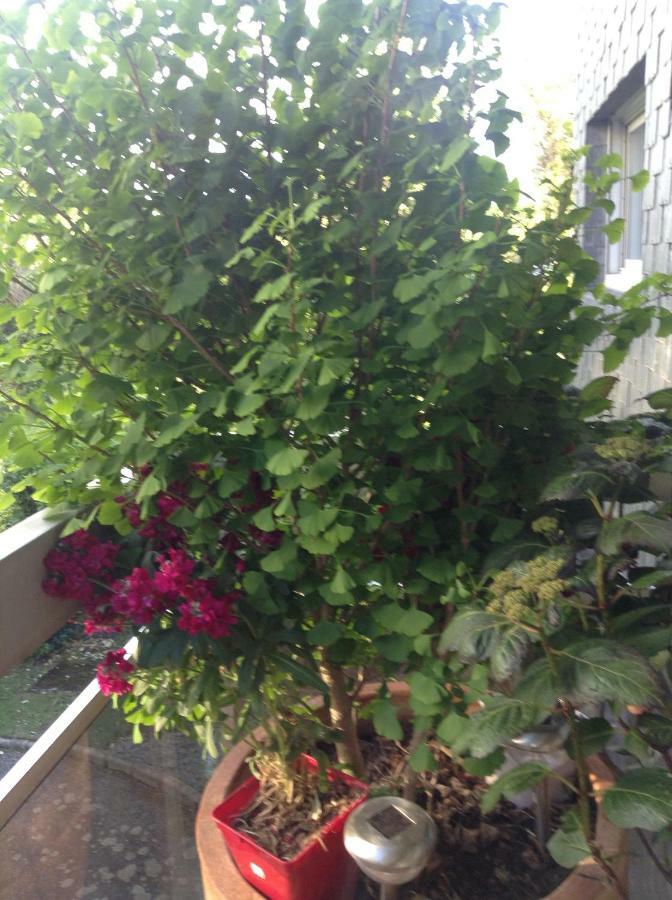 Appartement Monseigneur Vannes Zewnętrze zdjęcie
